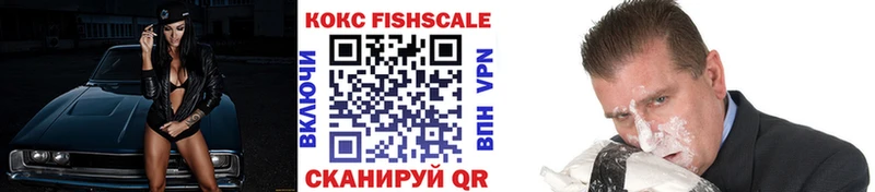 КОКАИН Fish Scale  кракен ссылки  Макаров 
