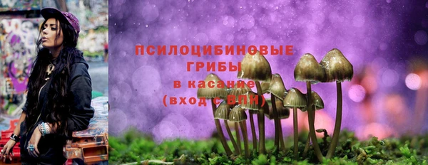 прущий лед Белокуриха