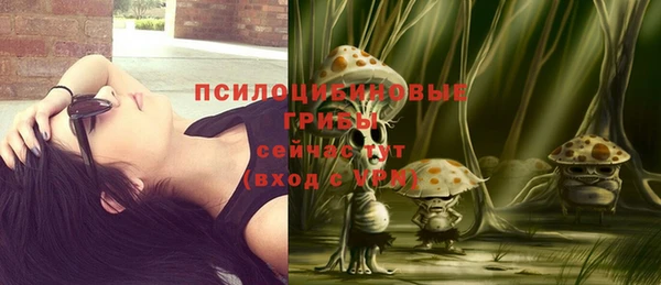 прущий лед Белокуриха