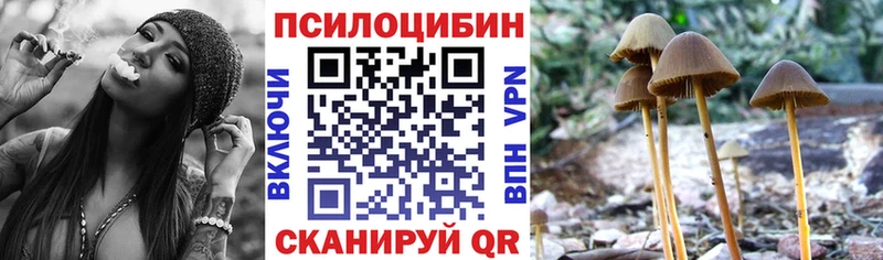 где купить наркотик  Макаров  Галлюциногенные грибы ЛСД 
